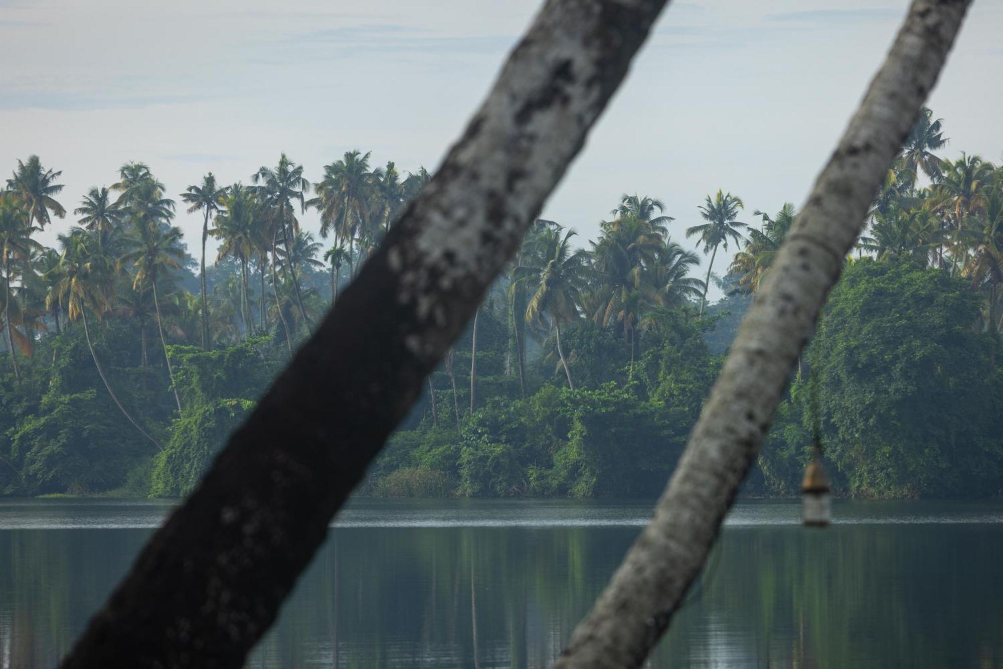 Cranganor History Cafe & Riverside Chateau North Paravur ภายนอก รูปภาพ