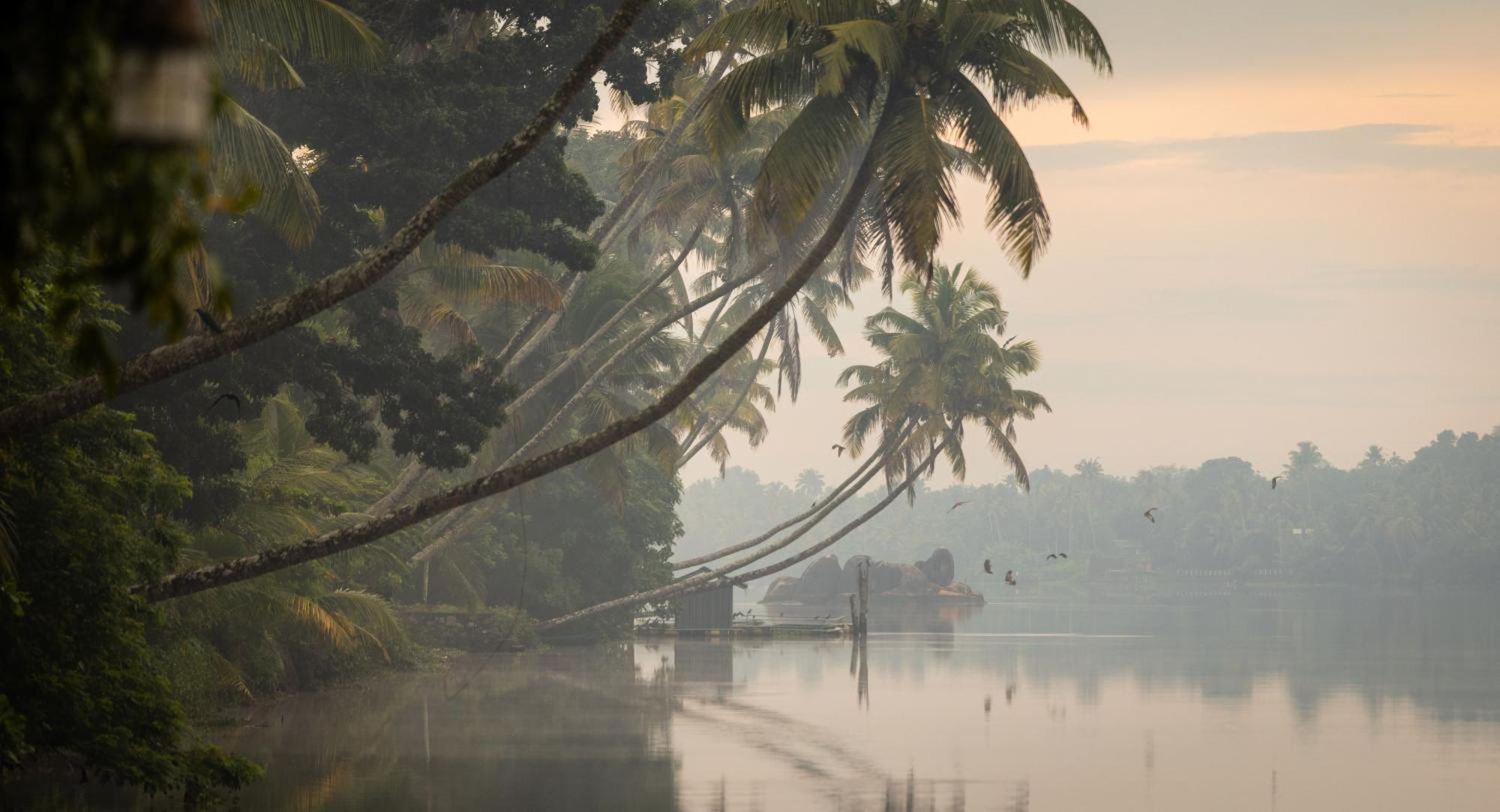 Cranganor History Cafe & Riverside Chateau North Paravur ภายนอก รูปภาพ